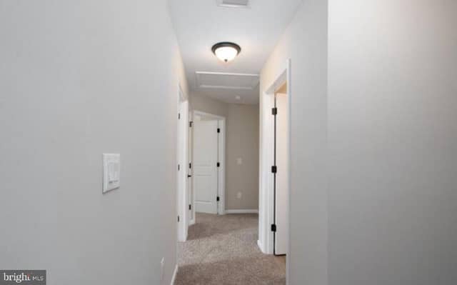 409 Crescent Boulevard photo 10