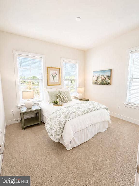TBB 8 North Bailey Court # 14 photo 8