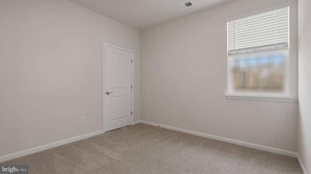 109 Chokeberry Way photo 10