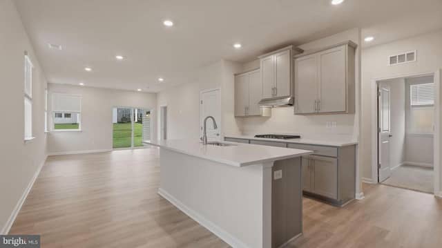 109 Chokeberry Way photo 11
