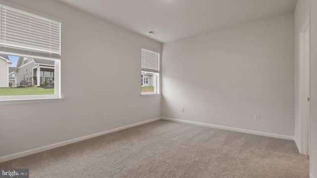 109 Chokeberry Way photo 8