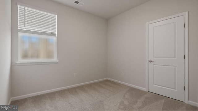 109 Chokeberry Way photo 9