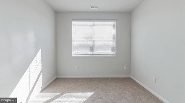 105 Elderberry Way photo 8