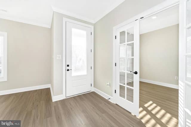 508 Abigail Avenue photo 6