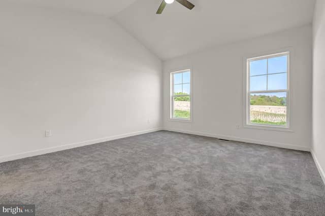 216 Ridge View Lane photo 10
