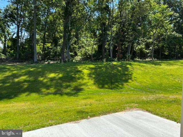 212 Grace Ann Court photo 4
