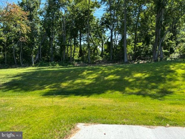 212 Grace Ann Court photo 5